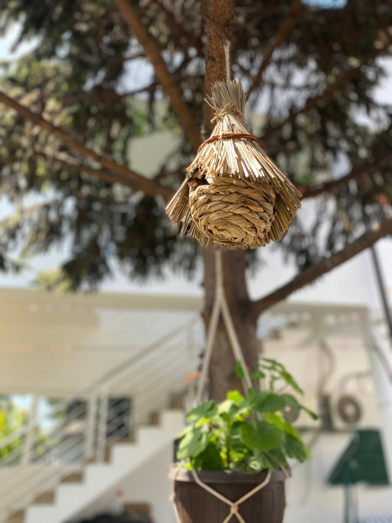 Vila Axelandra Hotel Eforie Bagian luar foto